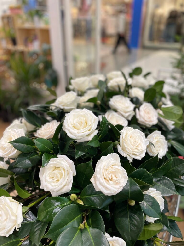 flowers