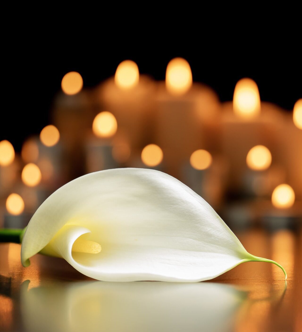 sydney cremation services