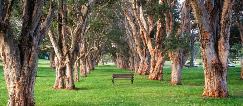 1. Centennial Park