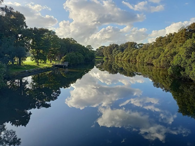 1. Ewen Park Hurlstone Park