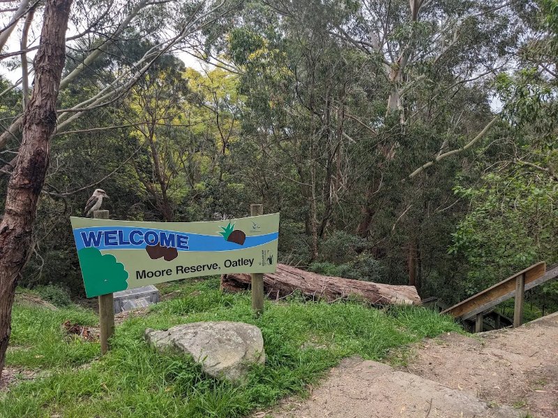 1. Moore Reserve Oatley