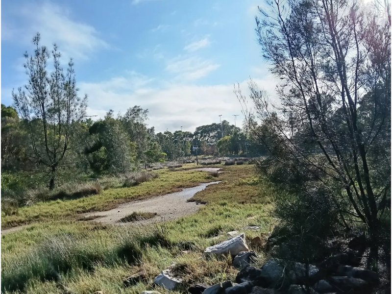 1. Tempe Recreation Reserve